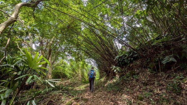 114.06.01溪山百年古圳-太平尾山+聖人崙之旅2801844