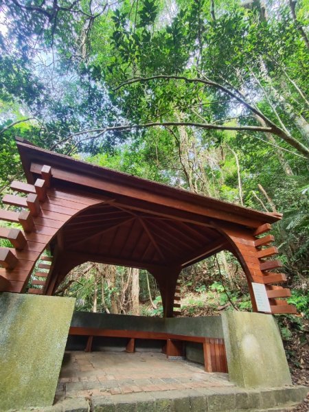 苗栗獅潭鳴鳳古道2929609