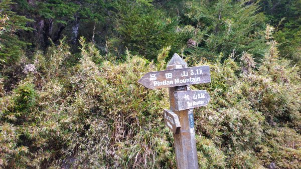 武陵四秀成兩袖(一秀加一宿)1142483