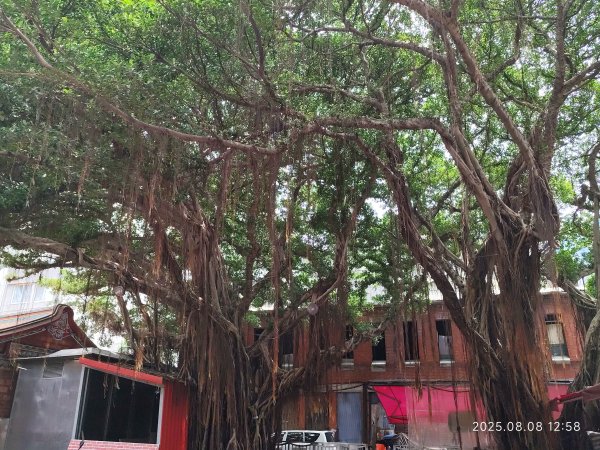大稻埕 - 迪化街、大港墘公園【臺北健走趣】2855178