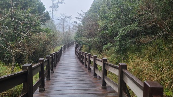 2025-0222 翠峰湖環山步道2718624