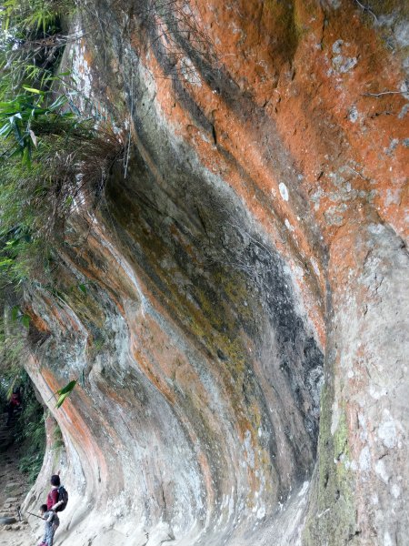 1090501 三峽鳶山1114884