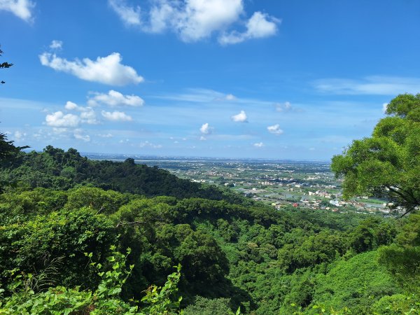 田中森林登山步道＋茶香步道＋赤水崎公園步道202508172862075