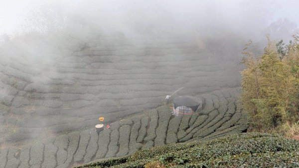雲嘉五連峰 (大尖山、二尖山、馬鞍山、梨子腳山、太平山)2991042