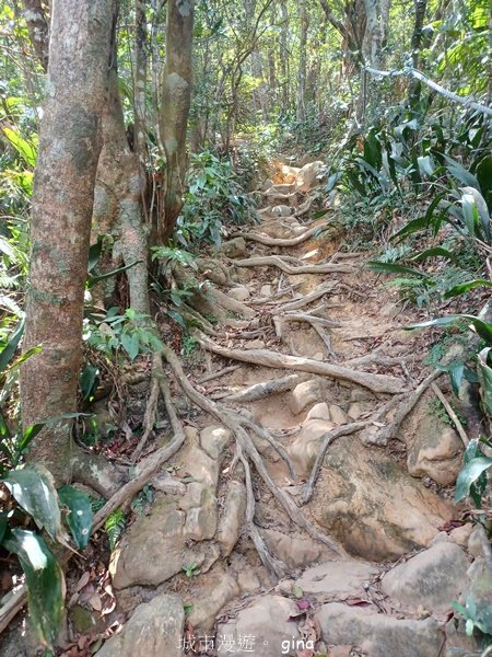 【屏東獅子鄉】海天一色。 台灣百大必訪步道~里龍山自然步道2550782