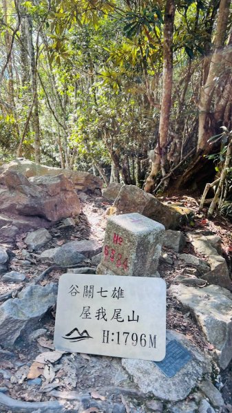 🌈9/12（六）屋東縱走（大雪山進谷關大道院出）FB：熊熊趴爬走(富裕登山社)🌈3118861