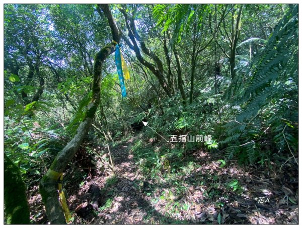 五指山、內雙溪山、香對山、梅花山9基石連走3077364