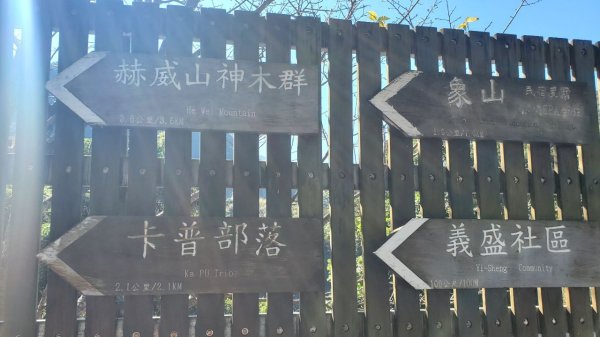 【中級山】插天山的奇幻世界，赫威山，赫威神木群步道2741304