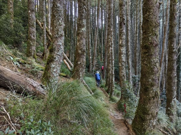 北一段(02/14)多加屯前峰2025_0906~132885102