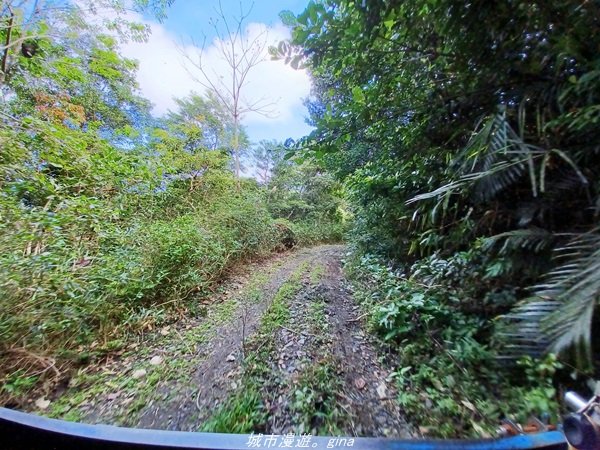 【台東。大武】一路搖晃碰碰車。小百岳集起來。  編號95小百岳-加奈美山步道1640910