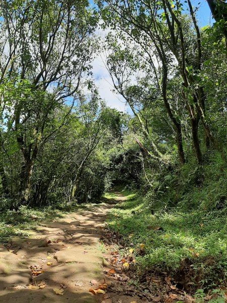 臺北大縱走3：擎天崗、頂山石梯嶺步道669944