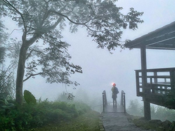 大凍山 頂湖 霹靂山O繞 二延平步道1773854