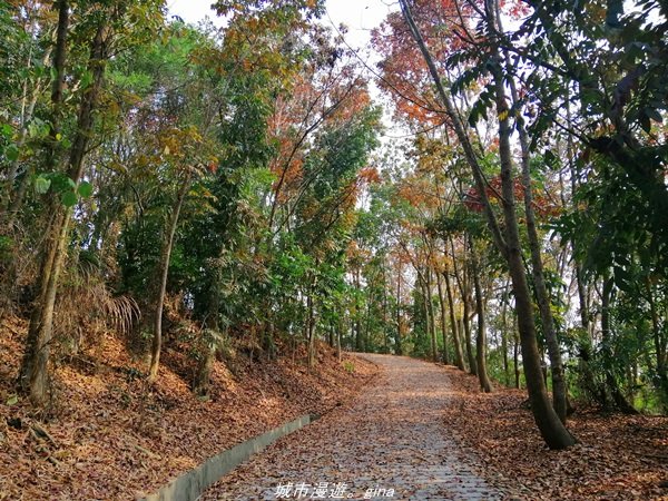 【嘉義。東區】午後森林浴。 蘭潭後山步道