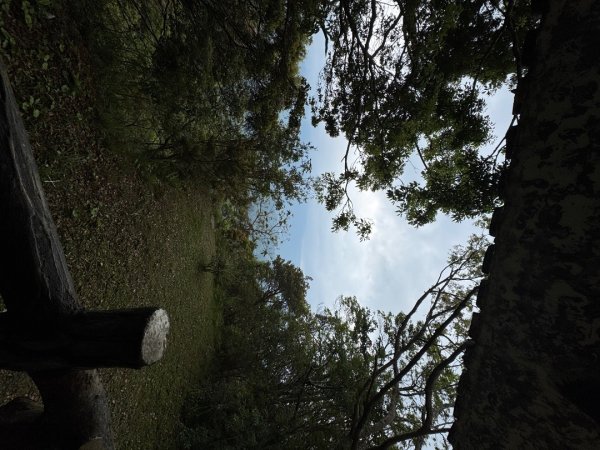 2025/04/04小百岳第022「東眼山」2753261