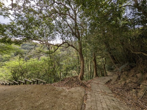 山塘背登山步道2077627