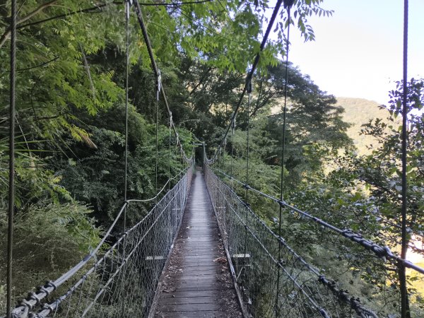 [玉山尋寶任務-07/12] 2025_0824 八通關雲龍瀑布步道2870702