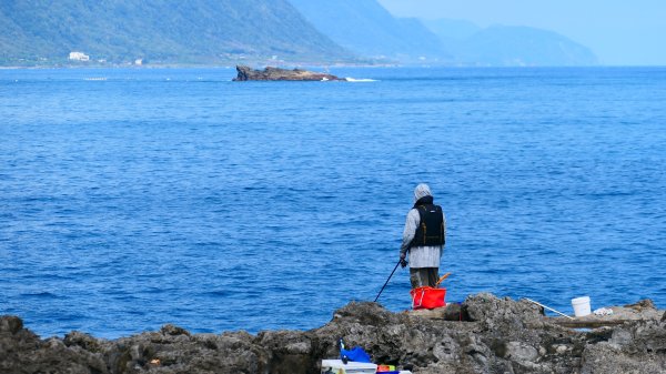 洄瀾東海岸3006701