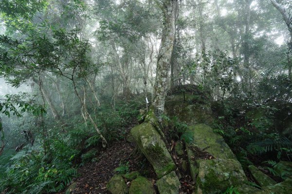 新竹 五峰 鬼澤山2634019