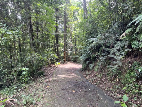 [皮皮獅Hike客任務-05/10] 2024_0721 石硬子古道(石峎古道)2557520