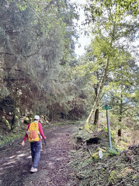 楠梓仙溪林道悠遊    2025.09.142886426