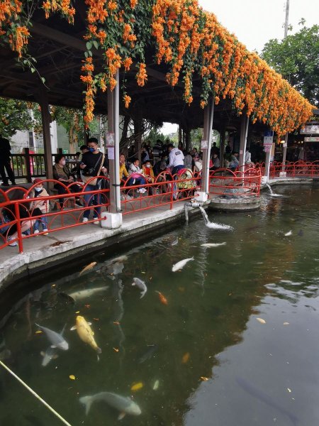 花蓮的必訪步道：美崙山公園、林田山林業文化園區 - 2022/2/31671502