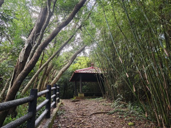 [皮皮獅動物派對-03/10] 2026_0822 石光古道(老虎山步道)3120804