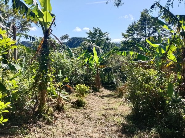 雙溪區豹子廚越嶺保甲路2876994