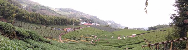 2020-2021 後棟仔 大尖山 二尖山1531730