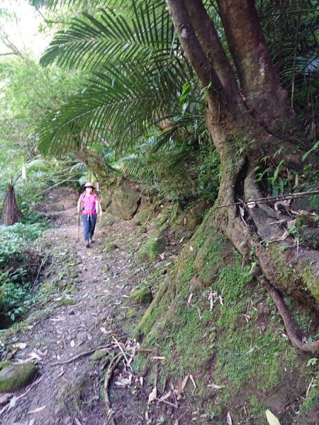 畝畝山、青林山、石古井、石硿子瀑布、石硿子古道O走1492819