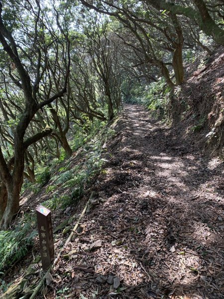 20250809高雄尾寮山(第21刷)2857304