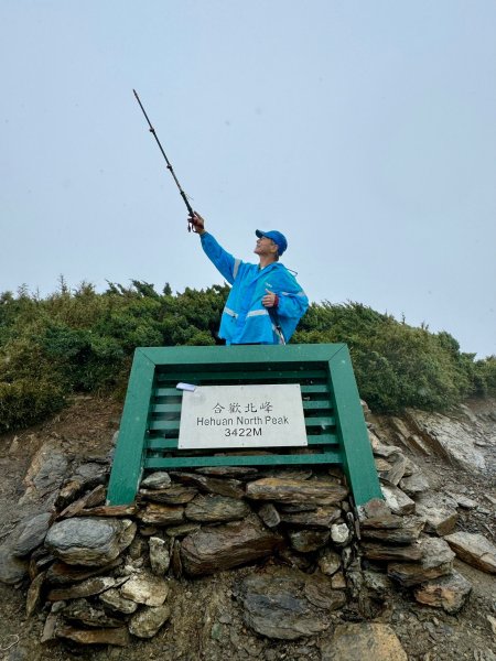 合歡北峰紅毛杜鵑盛開_202406052518329