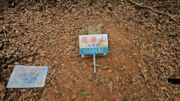 20260127三通嶺山.三義山(大桁茂山).慈濟山.大坪山大O走2989996