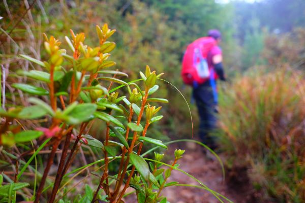迷霧飄逸池有山392052