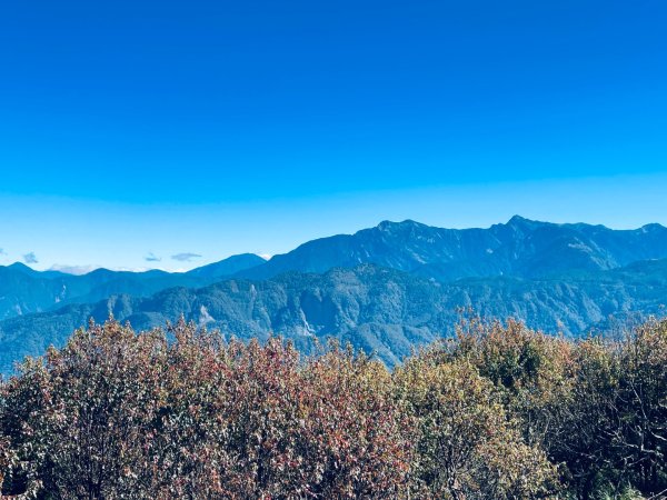 20251209 阿里山-小笠原觀景平台、祝山觀日步道2959803