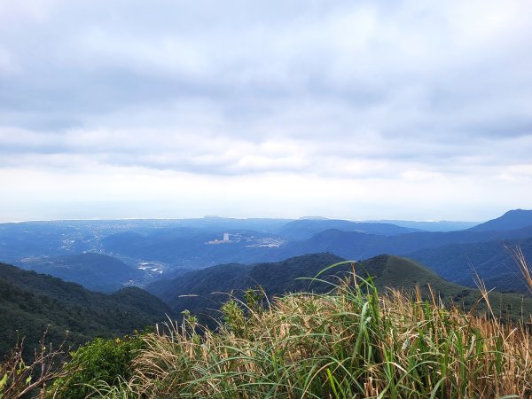 【台北抺茶山】小觀音山走春2010703