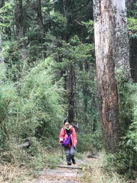 大雪山林道船型山鞍馬山537488