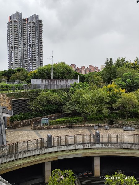 大安森林公園、大稻埕、大港墘公園【走路趣尋寶】【臺北健走趣】2598318