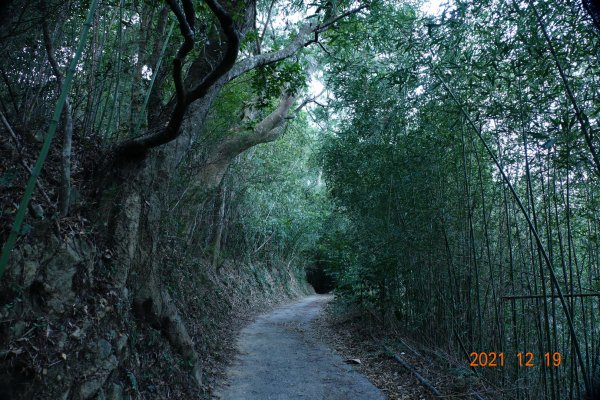 臺中 東勢 石圍牆山1555340