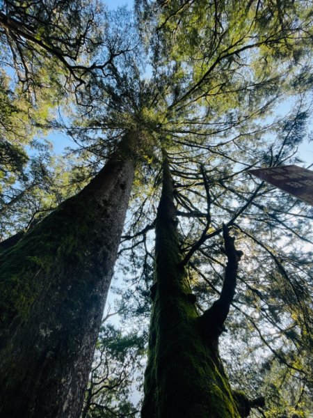 1140404二訪～塔關山2754053