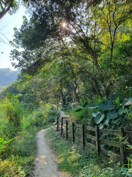 【彰化社頭】十八灣古道&中央嶺造林步道1500531