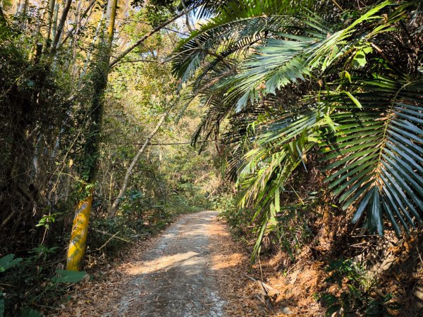 2026-02-10 白雲山2999913