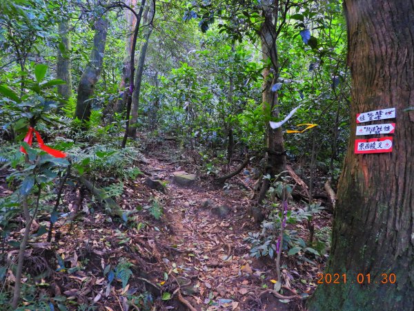 新北 三芝 小觀音山、大屯溪古道1251707