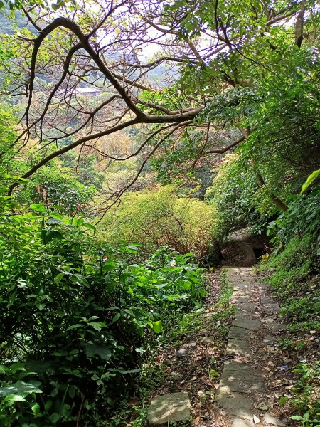 天母→猴洞→半嶺→翠峰瀑布→天母古道→紗帽路旁磺溪祕境→陽明山前山公園→陽明醫院舊址【看健臺灣】1973856