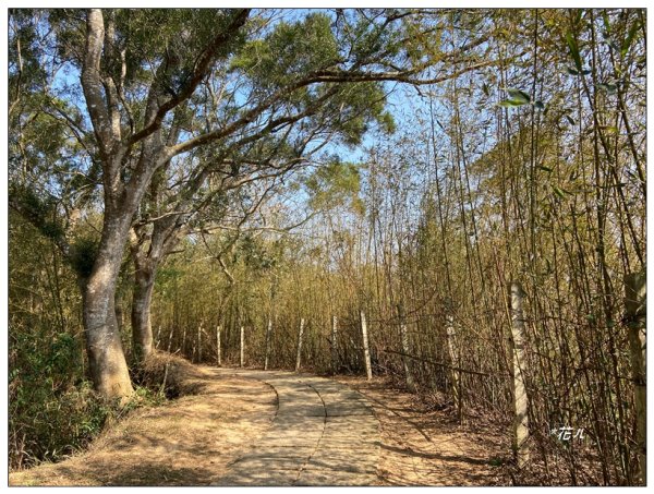 老崎古道、老崎坪頂山 (頭份)2737152