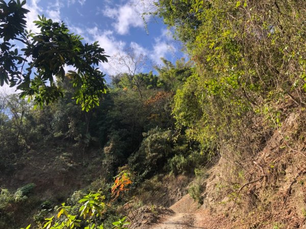 高雄市甲仙區小百岳69號白雲山（廓亭山）一等三角點及一等衛星控制點1984397