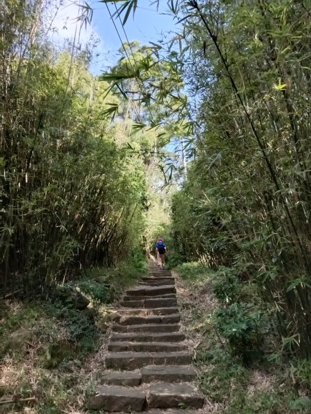北投區清天宮步道+面天山+向天山+向天池+興福寮步道+頂青礐古道P字走2960030