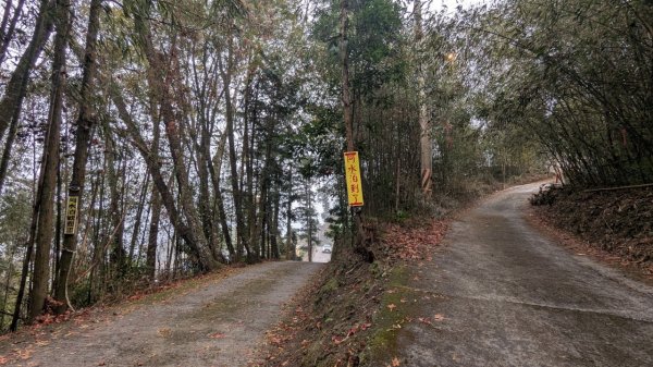 橫龍山、橫龍古道2682935