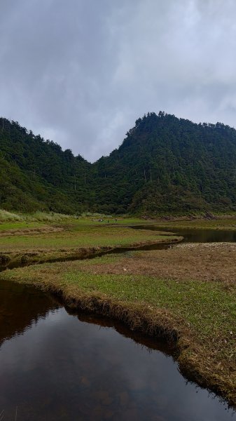 棲松縱走未竟2918330