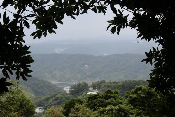 1031007硬漢嶺步道3098130