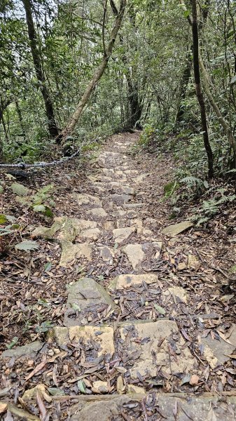 【新入手雨鞋，開箱嘍~~🤣🤣】魔王小百岳-尾寮山⛰️第20刷了!3052397